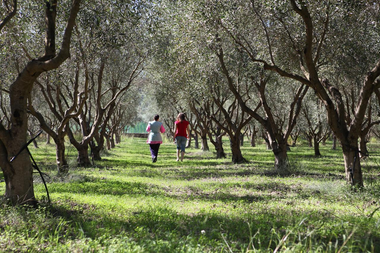 Agriturismo A'Sena-Runcatini Ciminà Kültér fotó